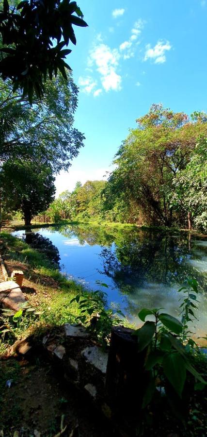 Chacara Bica Dagua Villa Pirenópolis Eksteriør billede